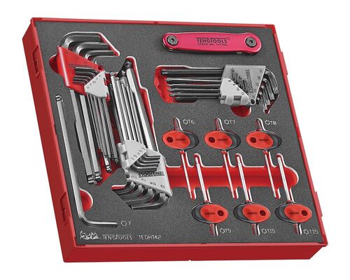 TENG TOOLS TEDHT42 42 Pce Ball Point Hex & TX Key Set – SA Alltools